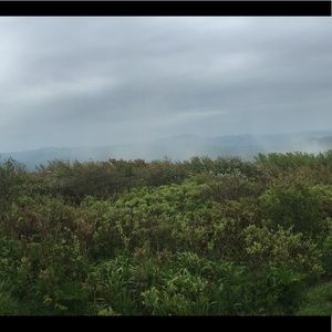 Meet your Posher, Ariel